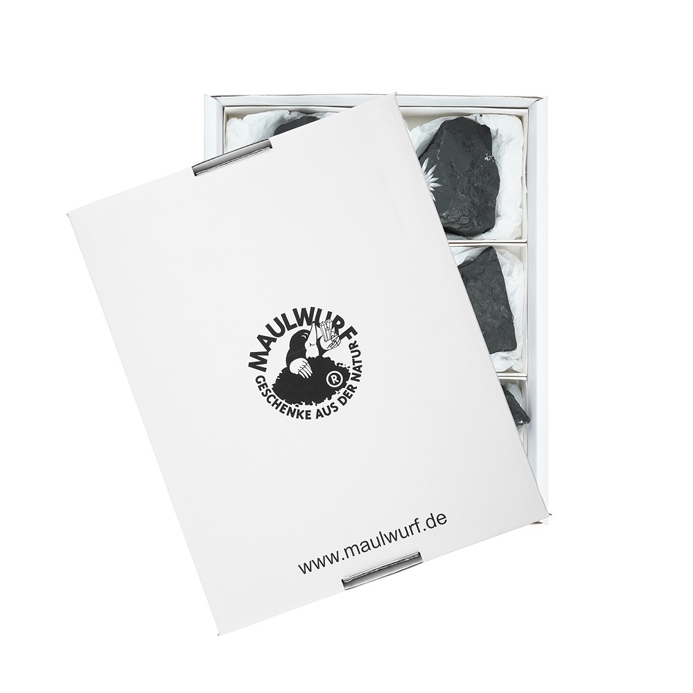 One side polished piece Chrysanthenum Sstone, 7,0 - 9,0cm (6 pcs/PU) | Marco Schreier