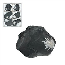 0522908010 One side polished piece Chrysanthenum Sstone, 7,0 - 9,0cm (6 pcs/PU) | Marco Schreier