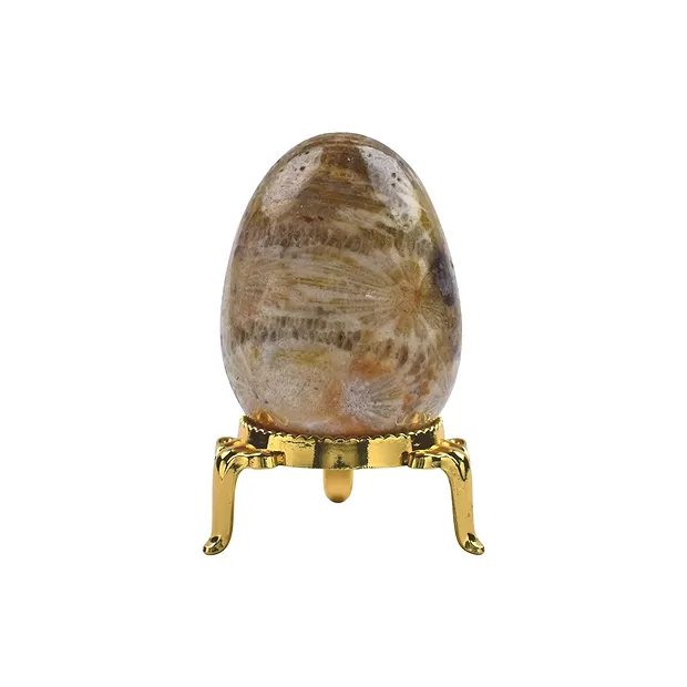 Oeuf Corail fossilisé, 5,0cm, avec boîte cadeau et support | Marco Schreier
