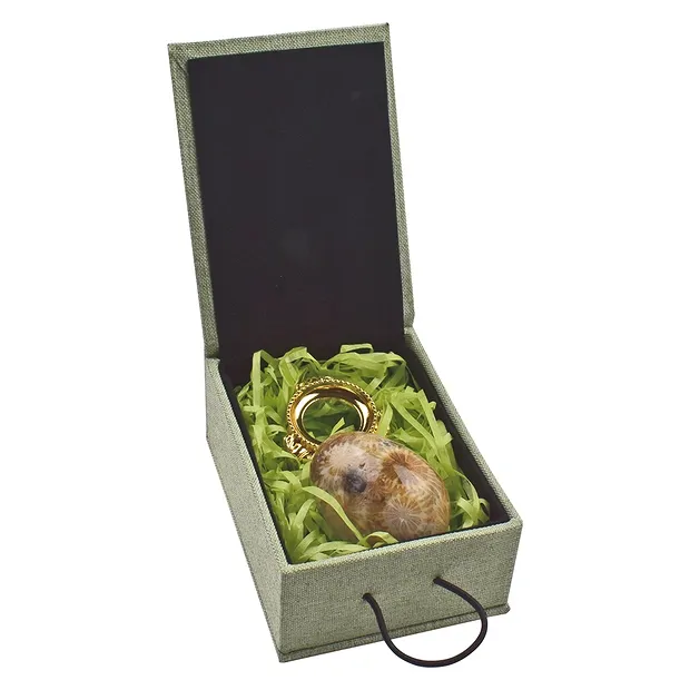 Petrified Coral egg, 5.0 cm, with gift box and stand | Marco Schreier