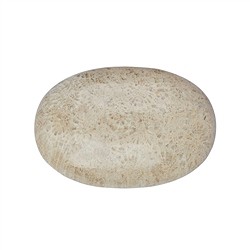 0524523001 Petits Galets Corail fossilisé | Marco Schreier