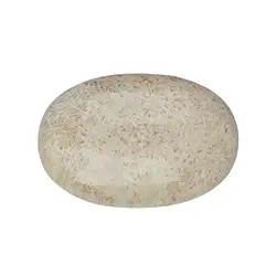 0524523001 Linsenstein versteinerte Koralle | Großhändler Edelsteine, Heilsteine & Schmuck