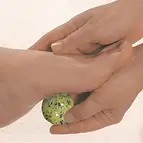 https://cdn.marcoschreier.com/content/productimages/0525801001_d2.jpg