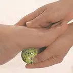 https://cdn.marcoschreier.com/content/productimages/0525801045_d2.jpg