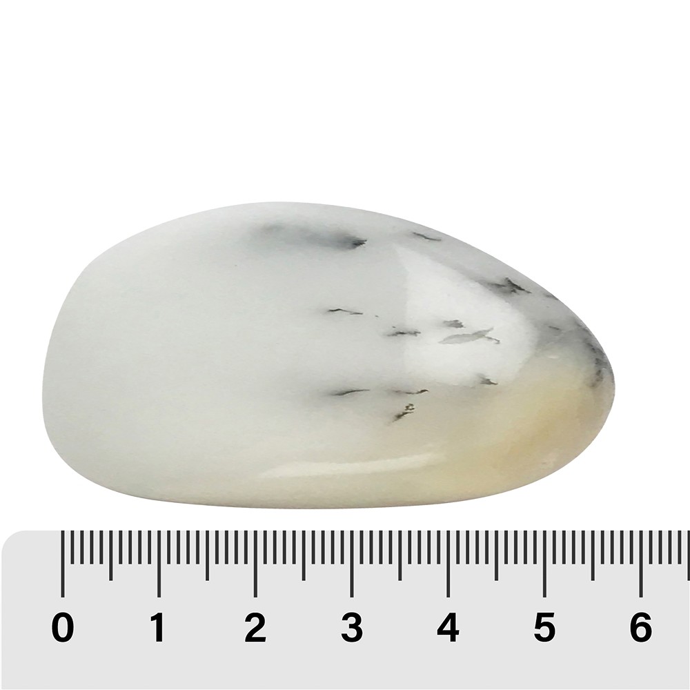 Trommelsteine Dendritenopal, 4,0 - 6,5cm (35 St./VE) | Marco Schreier