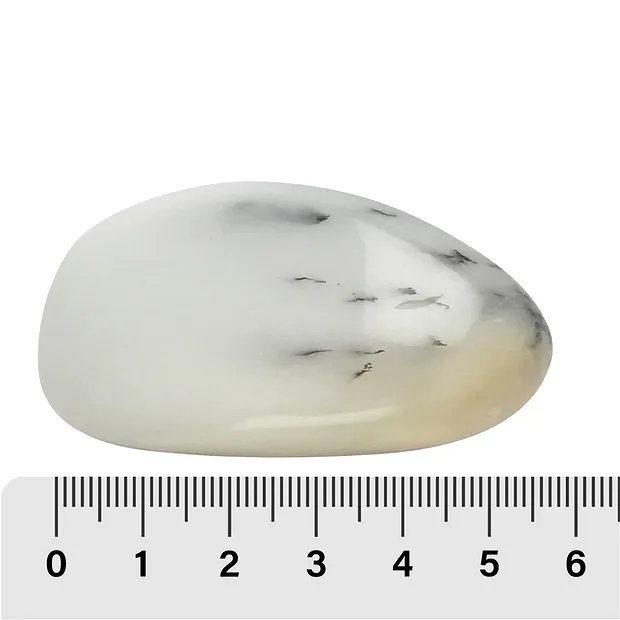 Tumbled Stones Dendrite Opal, 4,0 - 6,5cm (35 pcs./ PU) | Marco Schreier