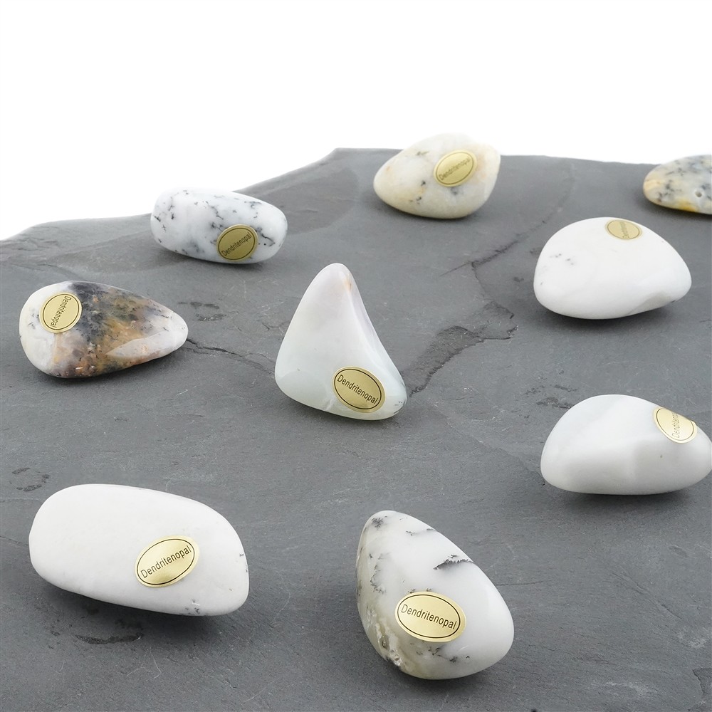 Trommelsteine Dendritenopal, 4,0 - 6,5cm (35 St./VE) | Marco Schreier