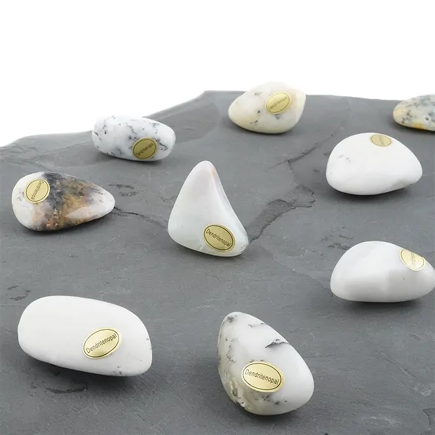 Piedras rodadas ópalo dendrita, 4.0 - 6.5cm (35 unid./VE) | Marco Schreier