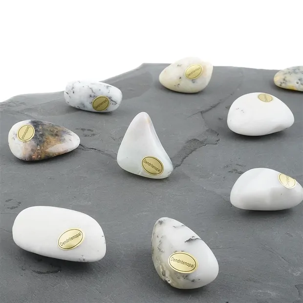 Pierres roulées Opale dendritique, 3,0 - 4,0cm (54 pcs/UC) | Marco Schreier