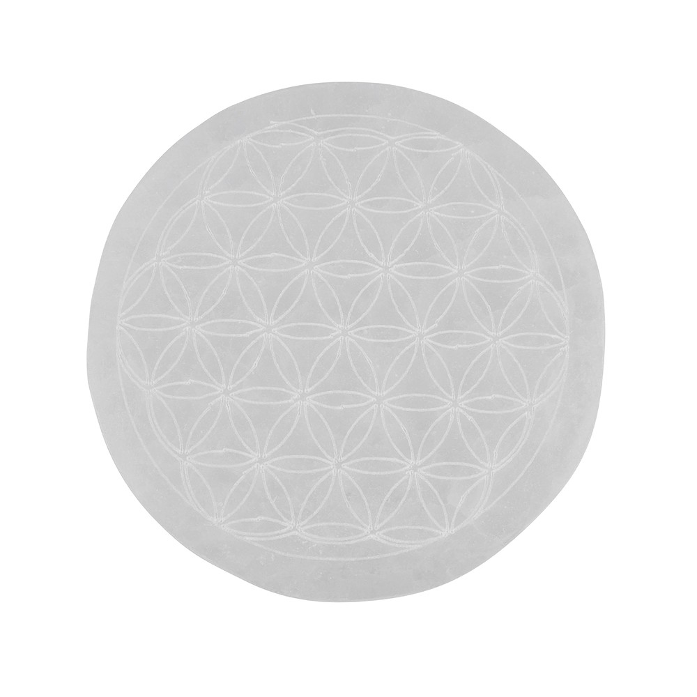 Disque sélénite "Fleur de vie", 10cm | Marco Schreier