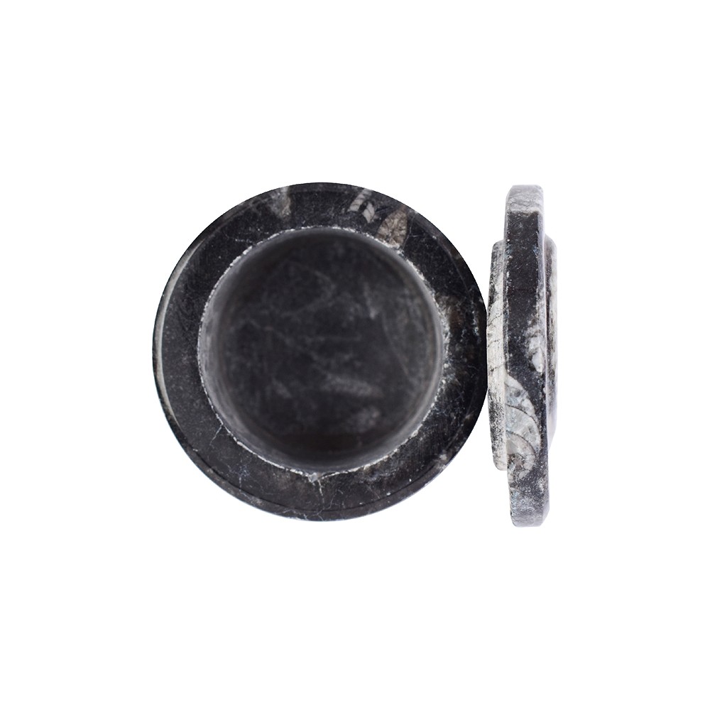 Dose Orthoceras, 3,8cm (klein) | Großhändler Edelsteine, Heilsteine & Schmuck