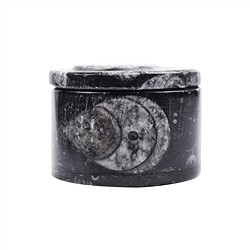 0530000002 Box Orthoceras, 3,8 cm (piccolo) | Gemme Schreier, pietre curative e gioielli