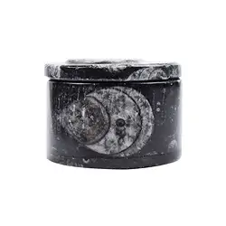 0530000002 Boîte Orthoceras, 3,8cm (petite) | Marco Schreier