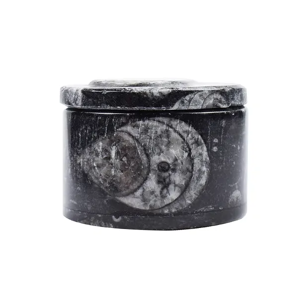 Dose Orthoceras, 3,8cm (klein) | Großhändler Edelsteine, Heilsteine & Schmuck