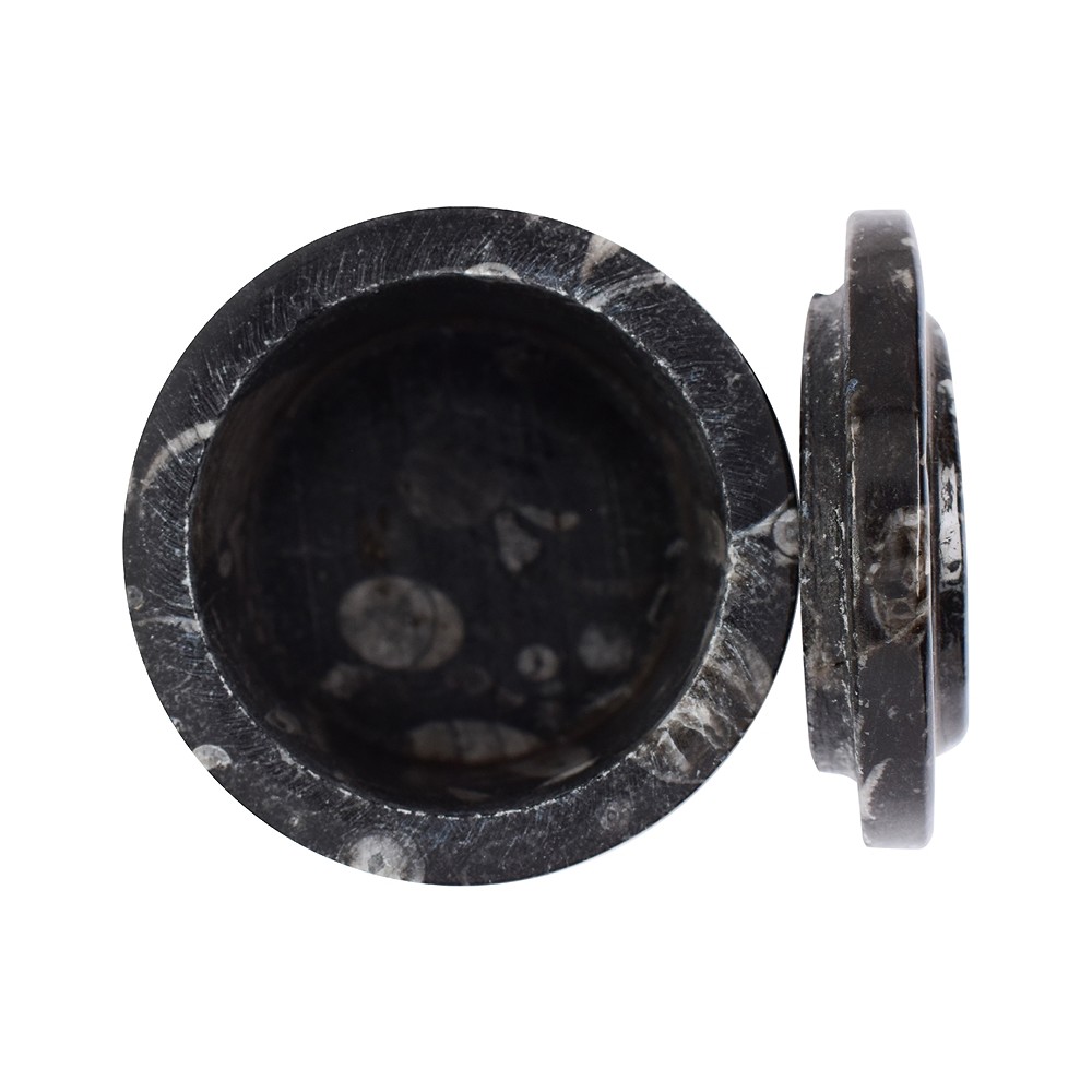 Dose Orthoceras, 5,8cm (groß) | Großhändler Edelsteine, Heilsteine & Schmuck