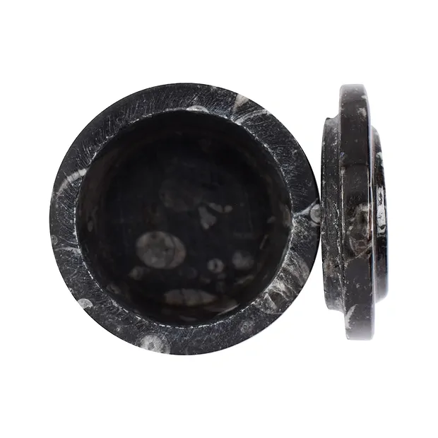Dose Orthoceras, 5,8cm (groß) | Großhändler Edelsteine, Heilsteine & Schmuck