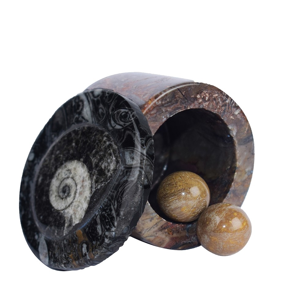 Dose Orthoceras, 5,8cm (groß) | Großhändler Edelsteine, Heilsteine & Schmuck