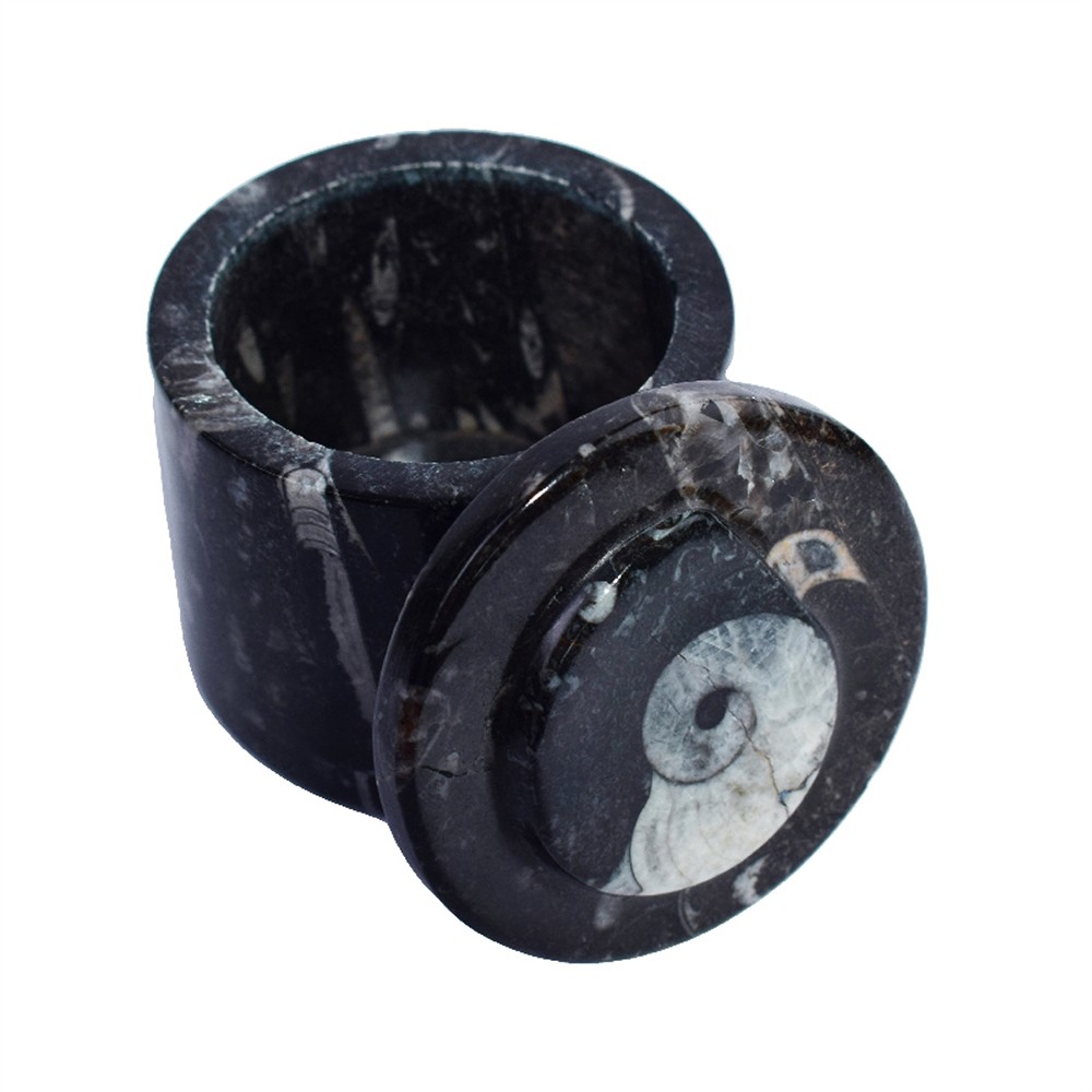 Dose Orthoceras, 5,8cm (groß) | Großhändler Edelsteine, Heilsteine & Schmuck