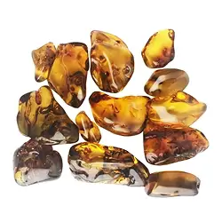 0530027100 Tumbled Stones Copal, 2,5 - 5,5cm (100 g/ PU) | wholesaler gems & healing stones