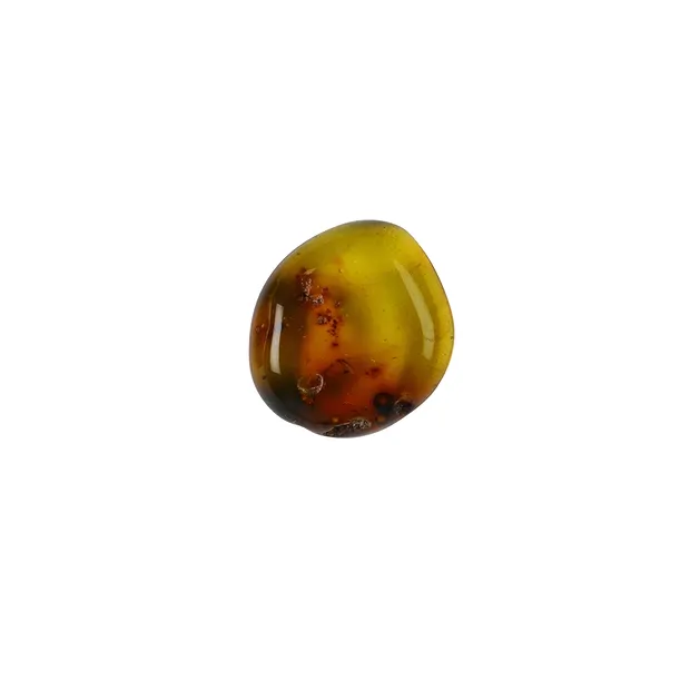 Copal cabujón (Indonesia), 1,9 - 2,1 cm | Marco Schreier