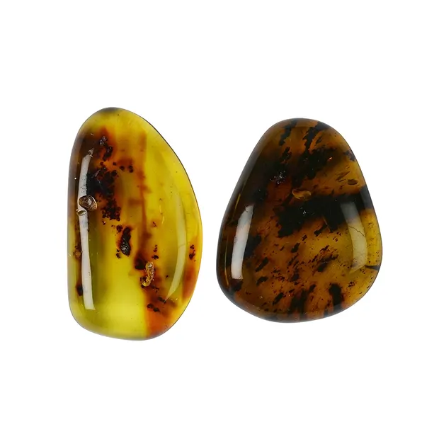 Cabochon Kopal (Indonesien), 2,5 - 3,0cm | GH Edelsteine, Heilsteine & Schmuck
