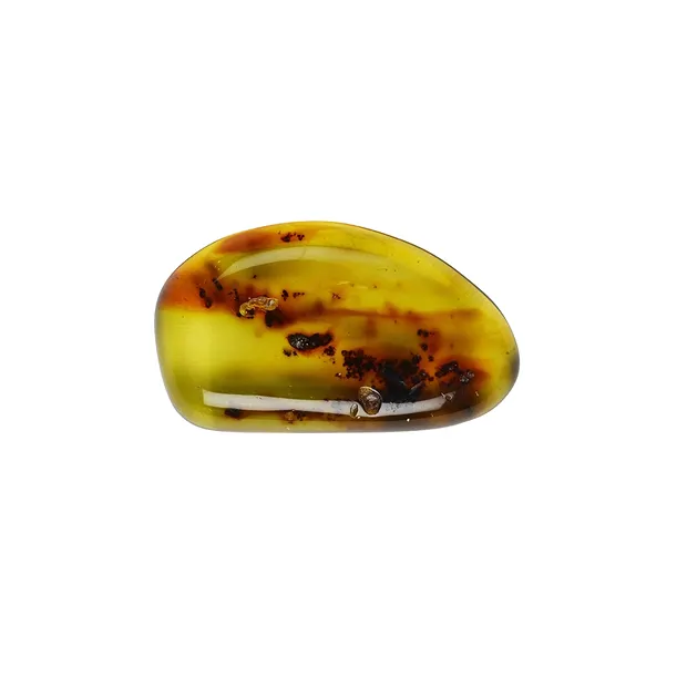 Cabochon Kopal (Indonesien), 2,5 - 3,0cm | GH Edelsteine, Heilsteine & Schmuck