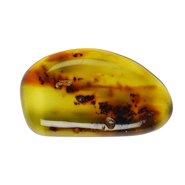 Cabochon Kopal (Indonesien), 2,5 - 3,0cm | GH Edelsteine, Heilsteine & Schmuck