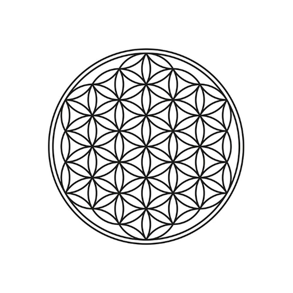 Shungite disc "Flower of Life" silver-colored, 3.5cm, in pouch | Marco Schreier