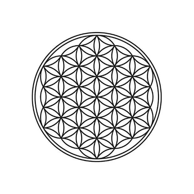 Shungite disc "Flower of Life" silver-colored, 3.5cm, in pouch | Marco Schreier