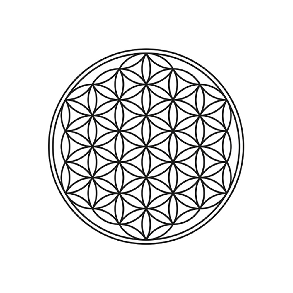 Disco de Shungita "Flor de la vida" dorado, 4,0 cm, en bolsita | Marco Schreier