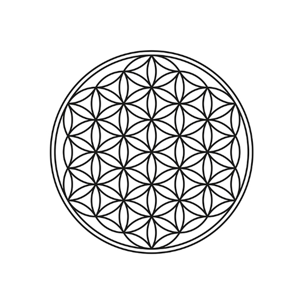 Disque Shungite "Fleur de vie" argenté, 4,0cm | Marco Schreier