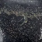 https://cdn.marcoschreier.com/content/productimages/0546127500_d2.jpg
