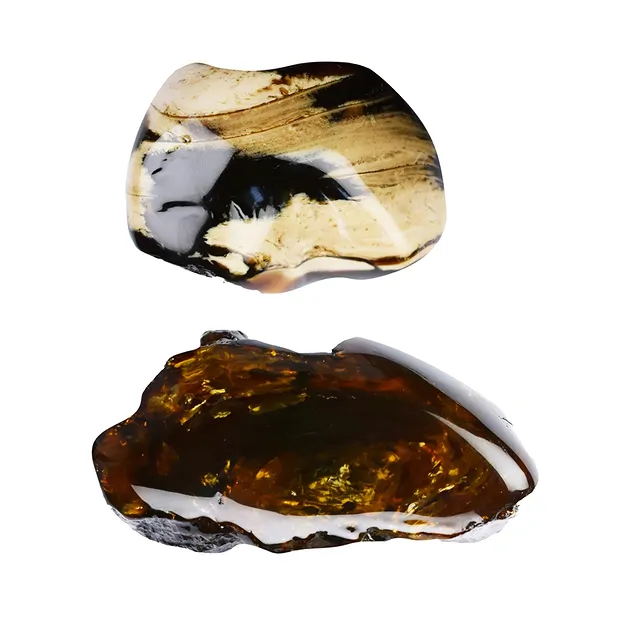 One side polished piece Amber (Indonesia) 06 - 08cm | Marco Schreier