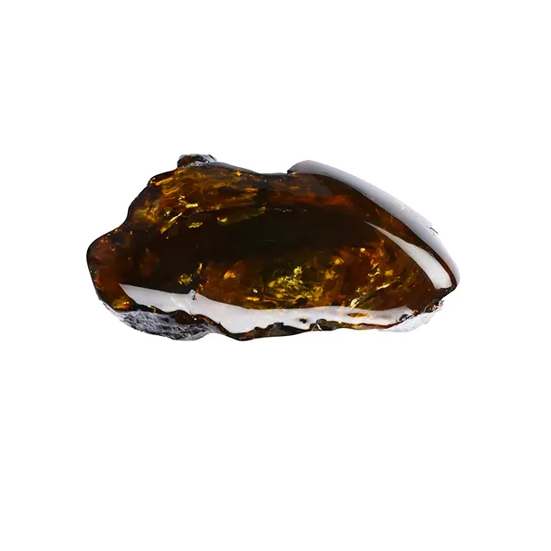 One side polished piece Amber (Indonesia) 06 - 08cm | Marco Schreier