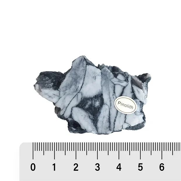 Anschliffe Pinolith (Eisblumen-Magnesit), 5 - 7cm (12 St./VE) | Marco Schreier