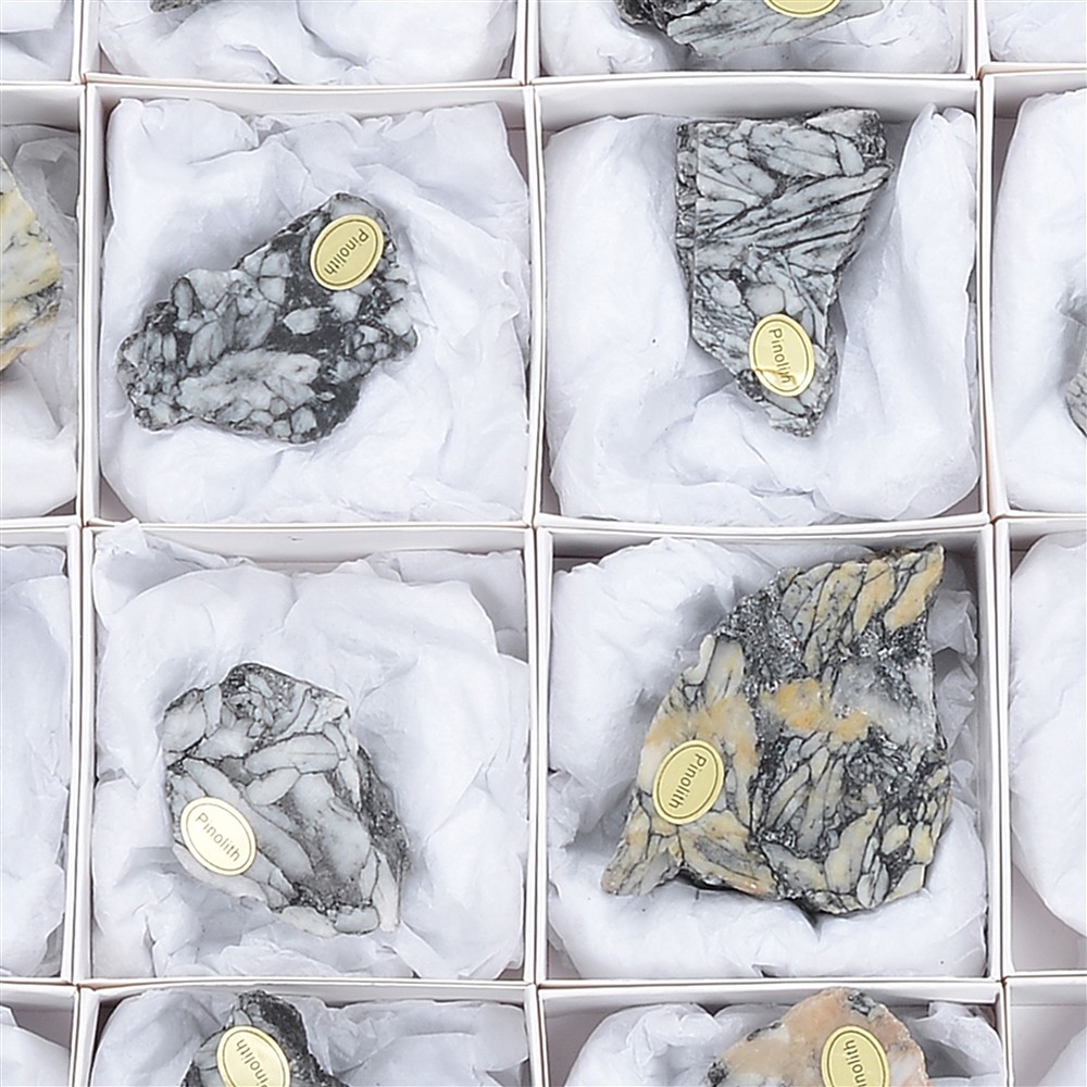 Anschliffe Pinolith (Eisblumen-Magnesit), 5,0 - 7,0cm (12 St./VE) | Marco Schreier