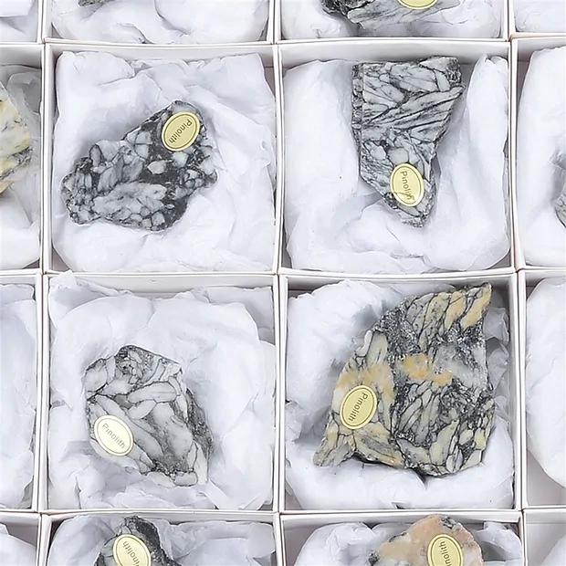 Anschliffe Pinolith (Eisblumen-Magnesit), 5 - 7cm (12 St./VE) | Marco Schreier