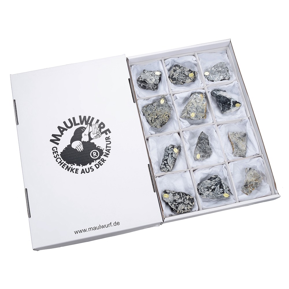 Anschliffe Pinolith (Eisblumen-Magnesit), 5,0 - 7,0cm (12 St./VE) | Marco Schreier