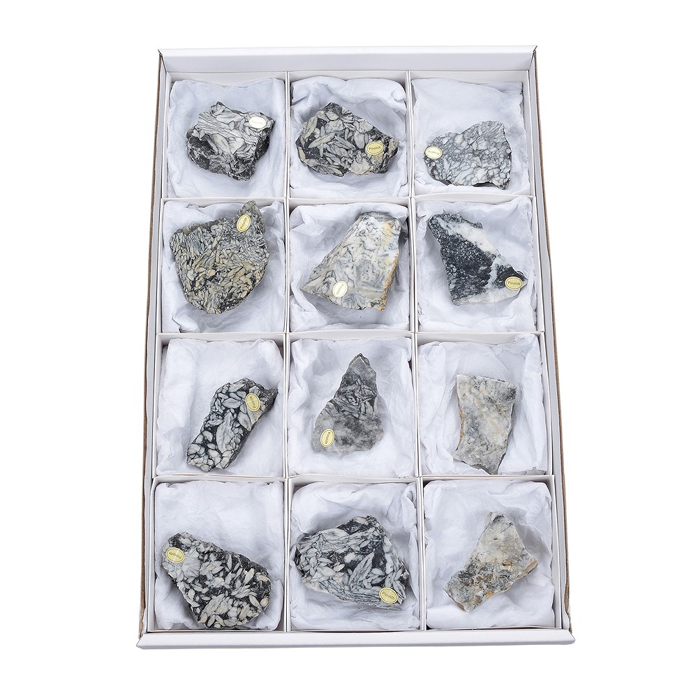 Anschliffe Pinolith (Eisblumen-Magnesit), 5,0 - 7,0cm (12 St./VE) | Marco Schreier