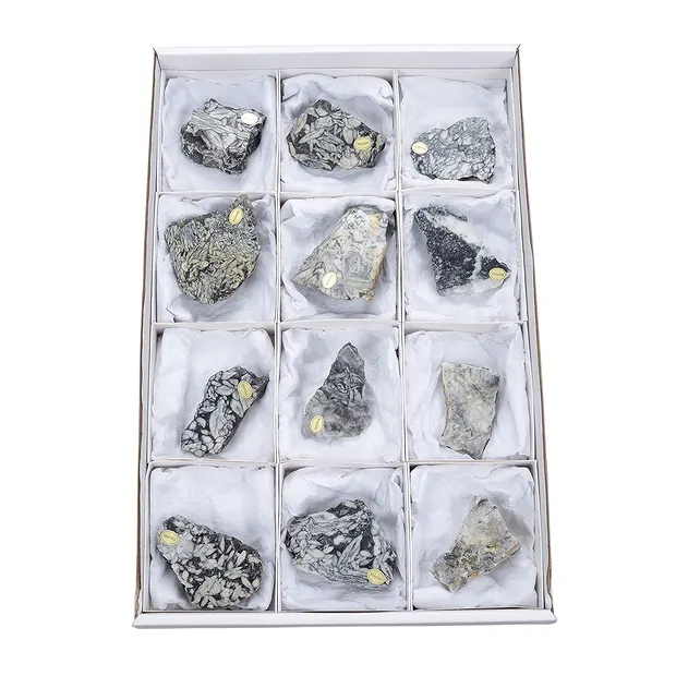 Anschliffe Pinolith (Eisblumen-Magnesit), 5,0 - 7,0cm (12 St./VE) | Marco Schreier