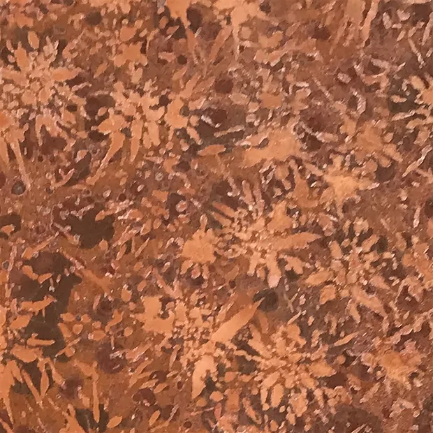 Plaque de rhyolite étoilée (jaspe étoilé), 180 - 220g (mini) | Marco Schreier