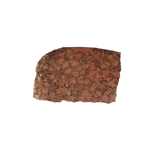 Plaque de rhyolite étoilée (jaspe étoilé), 180 - 220g (mini) | Marco Schreier