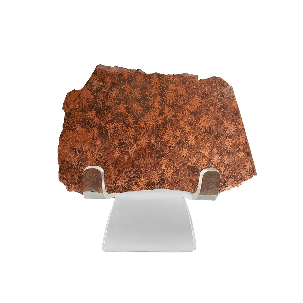 Piastre di riolite stellare (diaspro stellare), 300 - 370 g (medie) | Marco Schreier