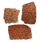 https://cdn.marcoschreier.com/content/productimages/0552706403_d1.jpg