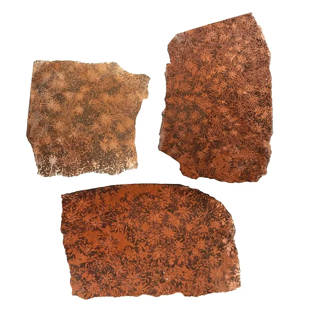 Platte Sternrhyolith (Stern-Jaspis), 400 - 450g (groß) | Marco Schreier