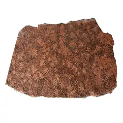 0552706403 Plaque de rhyolite étoilée (jaspe étoilé), 400 - 450g (grande)  | Marco Schreier