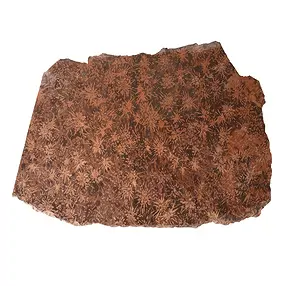 Platte Sternrhyolith (Stern-Jaspis), 400 - 450g (groß)  | Marco Schreier