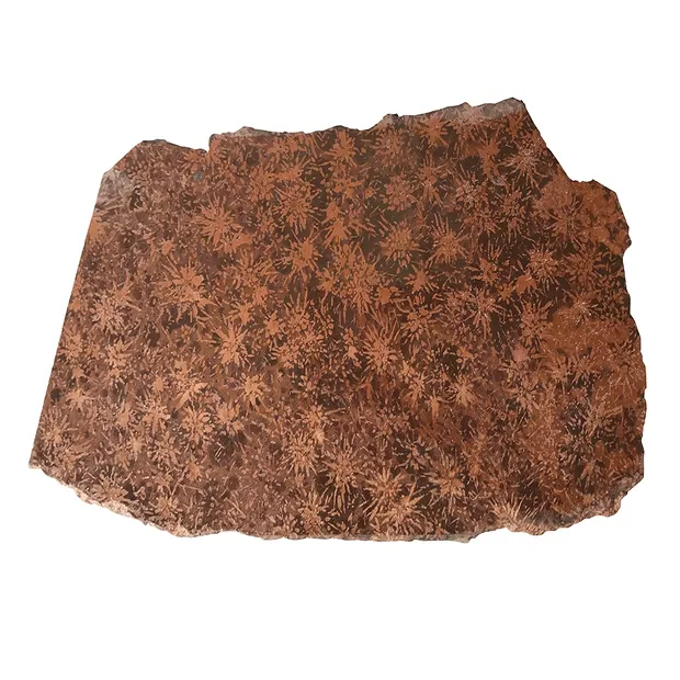 Platte Sternrhyolith (Stern-Jaspis), 400 - 450g (groß) | Marco Schreier