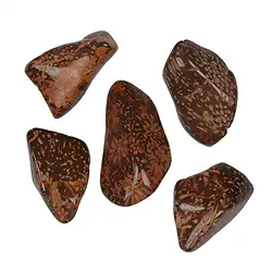 0552727100 Pierres roulées en rhyolite étoilée "Jaspe étoile", 2,0 - 3,0cm (100g/UC) | Marco Schreier