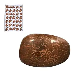 0552753035 Tumbled stones star rhyolite (star jasper), 4.5 - 5.0 cm (35 pcs./ PU) | Marco Schreier